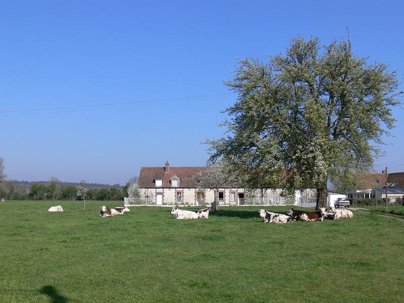 Mont Saint Michel 2010 - 015.jpg